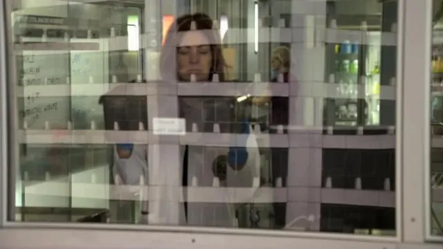 Кадры из сериала Следствие по телу (2011)